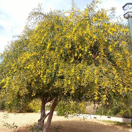 Andalusian With Barbecue, Pool And Wifi Holiday home *